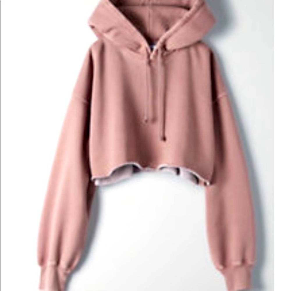 Aritzia Tna Cozyaf Boyfriend Hoodie crop in mauve